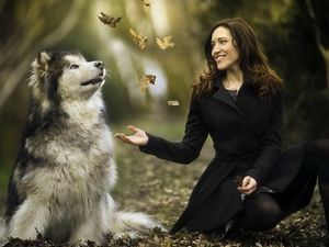 dog, Women, Leaf, Alaskan Malamute