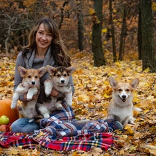 Women, Dogs, pumpkin, Welsh corgi pembroke, Three, coverlet, Leaf