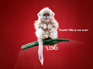 New Year, Monkey, message, 2016