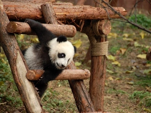small, square, playground, zpabda